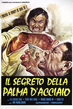 Poster Il segreto della palma d'acciaio 1973
