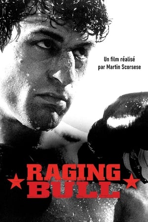 Image Raging Bull