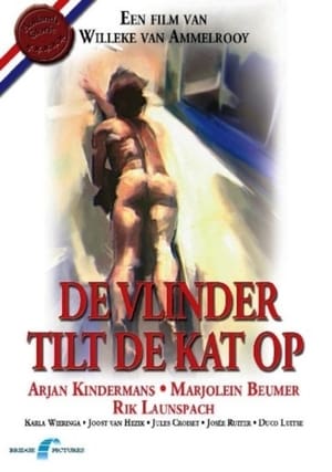 Image De vlinder tilt de kat op