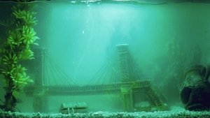 Fish (2025)