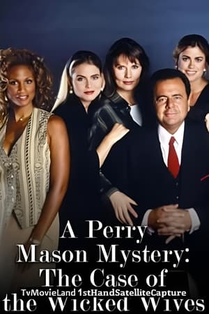 Poster Perry Mason: The Case of the Wicked Wives 1993