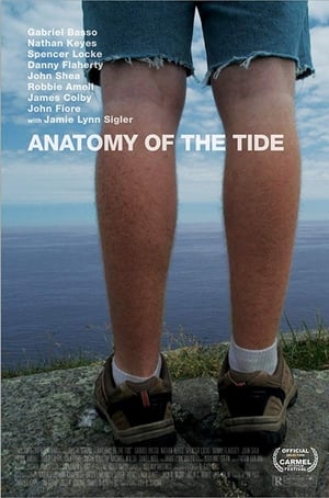 Image Anatomy of the Tide