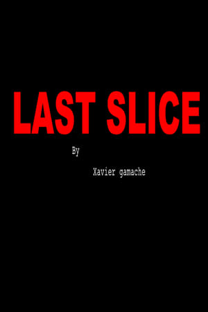 Image Last Slice