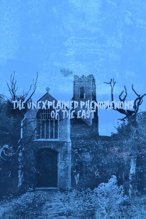 Télécharger The Unexplained Phenomenons Of The East ou regarder en streaming Torrent magnet 