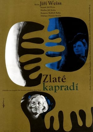 Image Zlaté kapradí