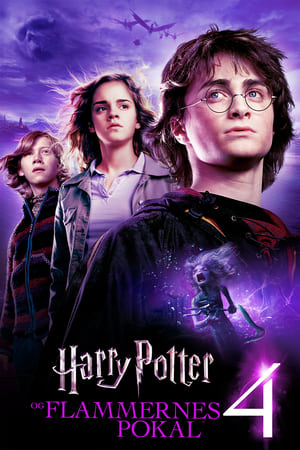 Image Harry Potter og flammernes pokal