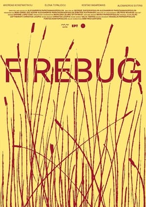 Image Firebug