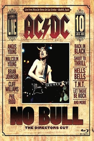 AC/DC: No Bull 1996