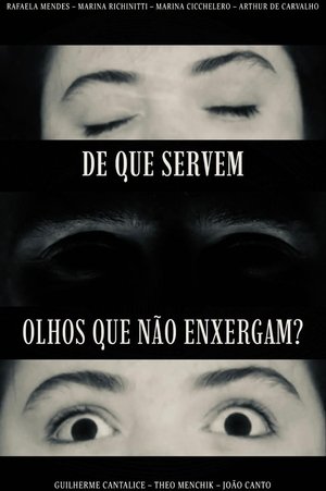 What use Have Eyes that Do Not See? (2025)