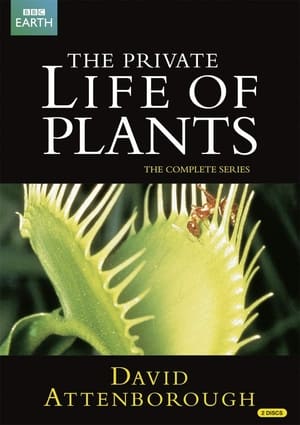 Image The Private Life of Plants