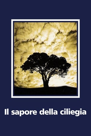 Il sapore della ciliegia 1997