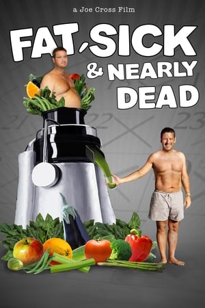 Poster Fat, Sick & Nearly Dead 2010