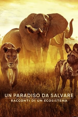 Poster El paraíso que sobrevive: Un legado familiar 2022
