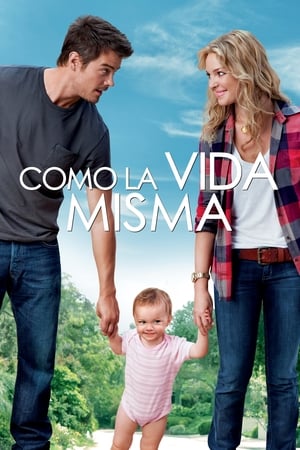 Poster Como la vida misma 2010