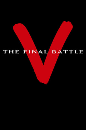 Image V: The Final Battle