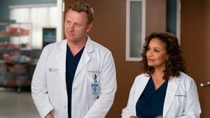 Grey's Anatomy Season 15 :Episode 20  The Whole Package