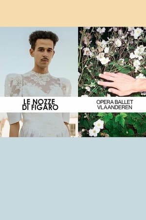 Télécharger Le Nozze Di Figaro - Opera Ballet Vlaanderen ou regarder en streaming Torrent magnet 