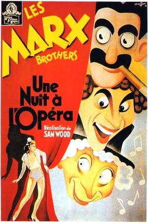 Image Une nuit à l'opéra