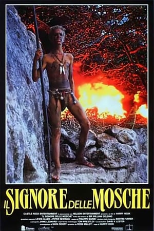 Poster Il signore delle mosche 1990