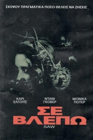 Poster Σε Βλέπω 2004