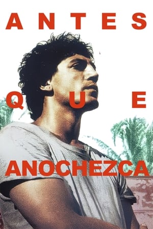 Poster Antes que anochezca 2000