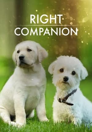 Poster The Right Companion 2009