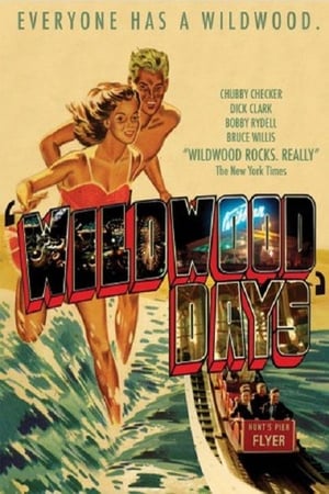 Poster Wildwood Days 2004