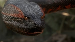 مشاهدة فيلم Anaconda 1997 مترجم