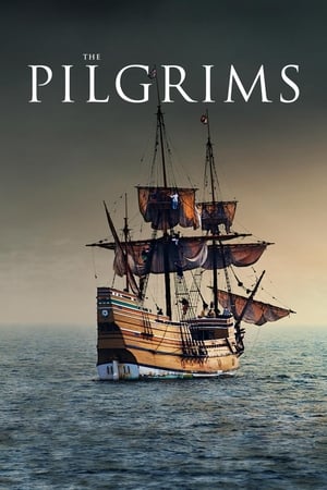 Image The Pilgrims