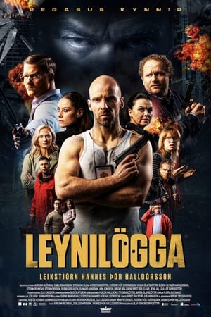 Image Leynilögga