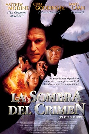 Poster La sombra del crimen 2001