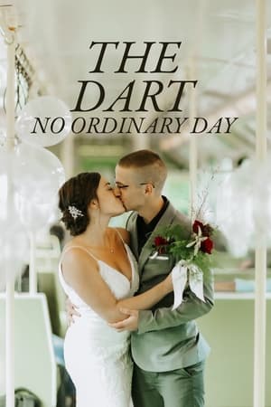 Télécharger The DART: No Ordinary Day ou regarder en streaming Torrent magnet 