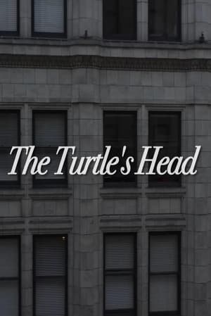 The Turtle's Head 2014