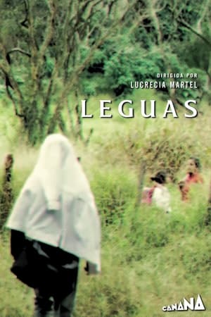 Poster Leguas 2015