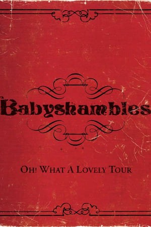 Image Oh! What a Lovely Tour - Babyshambles Live