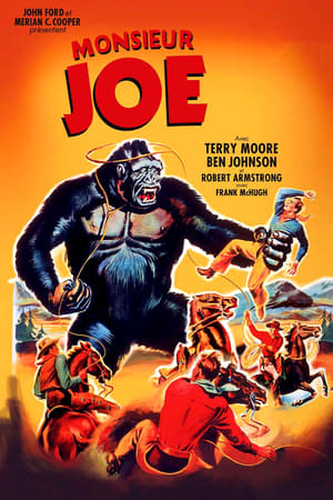 Poster Monsieur Joe 1949