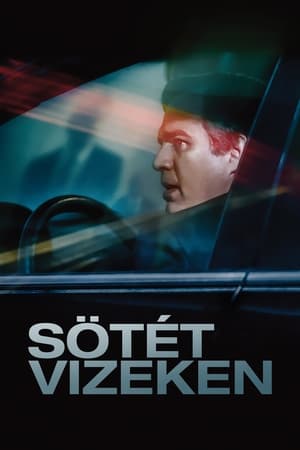 Poster Sötét vizeken 2019