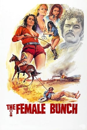 The Female Bunch 1971