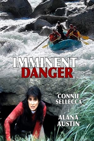 Poster Dangerous Waters 1999