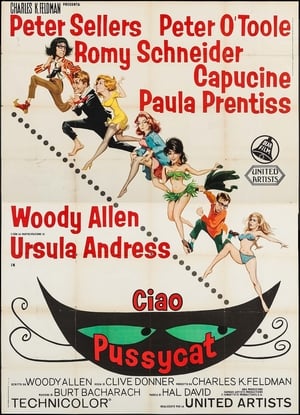 Poster Ciao Pussycat 1965