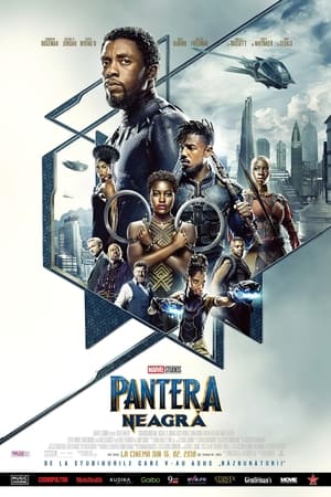 Poster Pantera Neagră 2018