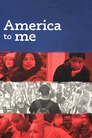 Poster America to Me 2018