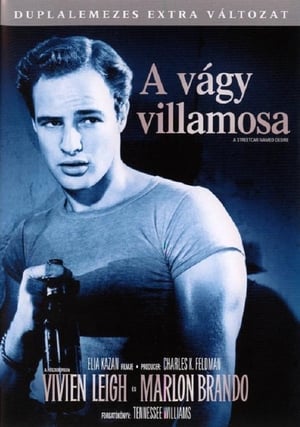 A vágy villamosa 1951