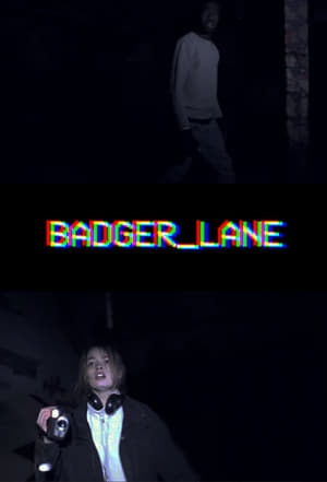 Poster Badger Lane 2016