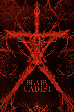 Poster Blair Cadısı 2016