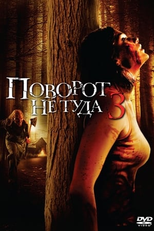 Poster Поворот не туда 3 2009