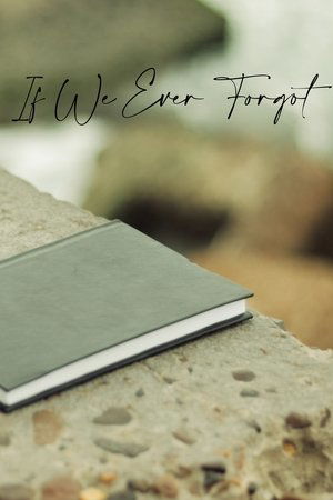 If We Ever Forgot (2025)
