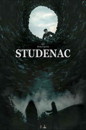 Télécharger Studenac ou regarder en streaming Torrent magnet 