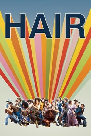 Poster Hair 1979
