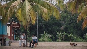 Here Today, Gone Tomorrow (2024)